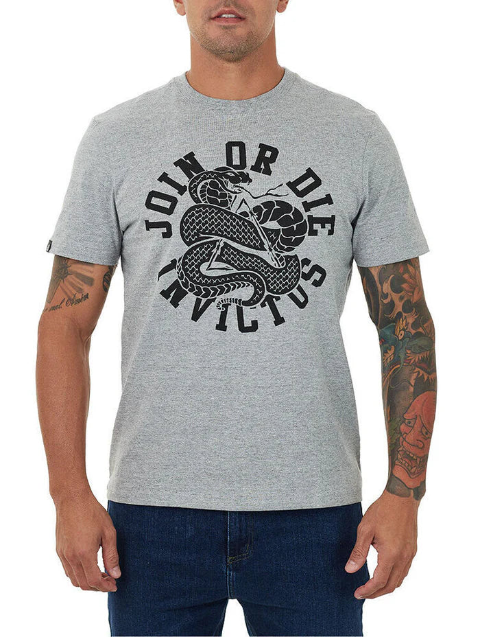 T-SHIRT INVICTUS CONCEPT UNITY CINZA MESCLA M